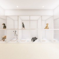 犬を『ペットホテルに何日も預ける』のはダメなこと？考えられるリスクとは