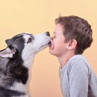 犬とのキスが『危険な理由』とは？見直すべきスキンシップや注意点まで