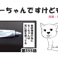 ちーちゃんですけどもっ【第355話】「食欲増進剤」