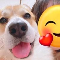 犬と撮影した『盛れた写真』→実は何度か撮っていて…あまりに愛おしい『盛れなかったパターン』に1万いいね「どこ見てんだろｗ」「かわいい」