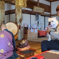 お寺で『ご祈祷』してもらう犬→住職さんの後ろで…お経どころではない『まさかの状況』が10万再生「声出して笑ったｗｗ」「パパ大慌てで草」