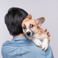 犬を『ハグしすぎる』と危険な理由4選　愛犬に与える悪影響や適切なスキンシップまで
