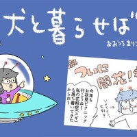犬と暮らせば【第536話】「この時期一番気になるコト」