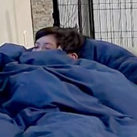 仕事前『息子と犬は何をしているかな』と家をカメラで確認した結果→寝てる息子に…まさかの『ガン見』に反響「カップルみたい」「きゃわいい」