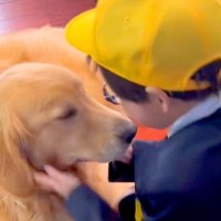 小学校2日目が終わり、帰宅した男の子→真っ先に『大型犬』の元へ行き…信頼と愛を感じる『尊い光景』が35万再生「可愛くて泣ける」「素敵」