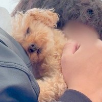 1週間、実家に犬を預けた結果→再会した瞬間に…相思相愛な『おかえりなさい！』が泣けてくると19万再生「涙が出た…」「無限に見れる」と絶賛