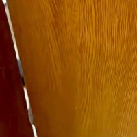 トイレに入っていたら、大型犬に閉じ込められてしまった男性→ドアの隙間を覗くと…『衝撃的な光景』が27万再生「共犯者いて草」「大爆笑ｗｗ」