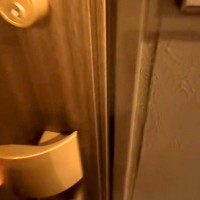 家に帰りドアを開けると、いつも犬が『おかえり』と駆け寄ってきて…あまりにも愛おしい『寝起きでのお出迎え』が42万再生「疲れも吹き飛ぶ」