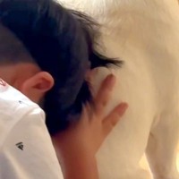 叱られてしまった男の子→拗ねながら、犬に近づいて…慰めるように『背中を貸してあげる光景』が尊いと反響「なんて優しい」「お兄ちゃんみたい」