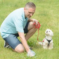 犬のウンチで体調を判断する『4つの方法』健康状態の見極め方や病気のサインまで