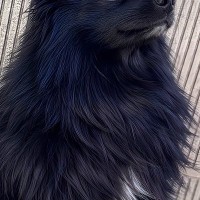ママが撮影した『かっこいい犬の写真』→パパが撮ると…？まるで別犬のようになる『違い』が93万表示「笑顔になった」「どっちも可愛いｗｗ」