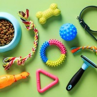 飼い主がつい買ってしまう『犬用品』3つ　後悔しないために事前に知っておくべきことまで