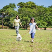 小型犬に必要な『一日の散歩量』とは？毎日行くべきなの？適切な頻度まで