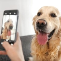 残しておくべき『愛犬の写真』7つ　大切な瞬間を記録しておくために今からできることまで