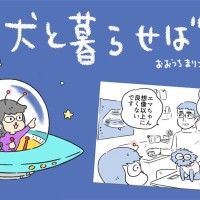 犬と暮らせば【第537話】「予期せぬサクラ」