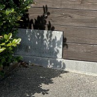 庭で水やり中、なぜか『視線』を感じたので振り返ると…視界に入った『まさかの正体』に1万いいね「めっちゃ見られてて草」「可愛い覗き方ｗ」