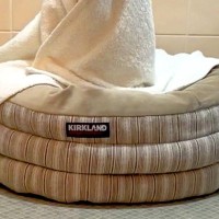 うっかり『怖い動画』を見てしまい、お風呂に入るのが怖くなったので…まさかの『犬に見守ってもらう光景』に3万いいね「心強い」「素晴らしい」