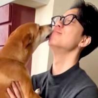 犬に内緒で『息子が１年ぶりに帰省した』結果→顔を合わせた瞬間に…５分以上も続いた『熱烈大歓迎』に感動続々「涙が出そう」「いやもう尊い…」