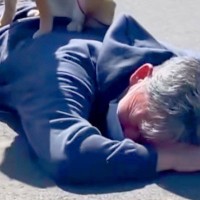 犬のリードが手から外れ、父が見事『ダイビングキャッチした』と思ったら…想定外な『まさかの光景』が29万再生「嬉しそうで草」「安全地帯ｗ」