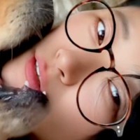 『毎朝、3匹の大型犬に起こされる』という女性→優しく起こすのかと思ったら…想像を絶する『目覚まし』が13万再生「幸せな朝ｗ」「羨ましい」