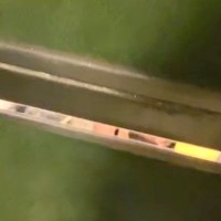 帰宅した女性が、玄関ドアのポストから中を覗いた結果→大型犬が待っていて…すぐに帰りたくなる『愛おしい光景』が165万再生「たまらん…」