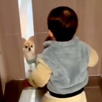 1歳の男の子と半日ぶりに再会した犬→ドアを開けた瞬間、嬉しくなりすぎて…尊すぎる『喜び方』が134万再生「嬉しいね」「ピョンピョン」