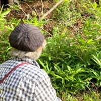 60日間、行方不明の犬→おばあちゃんが山に声をかけ続けた結果…まさかの『奇跡的な瞬間』が92万再生「泣いてしまった…」「よく頑張った」