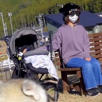 『変装した母が道端にいたら、大型犬たちは気付くのか？』を検証→絶対にわかると思ったら…まさかの結末が23万再生「残念すぎｗｗ」「可愛い」