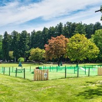 『ドッグランに行ってはいけない犬』の共通点6選　周囲に迷惑をかけるワンコの特徴まで