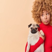 犬が『飼い主を避けるようになる』絶対NG行為3選　信頼関係が崩壊しているサインとは？