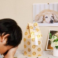 ペットロスの人に絶対言ってはいけない『NGワード』5選　愛犬を亡くした人にすべき配慮とは？