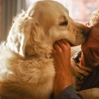 犬が『顔を舐めてくる』心理６選　やめてほしい場合に飼い主がすべき対処法とは？