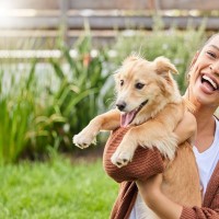 『人懐っこい犬』の特徴4選　フレンドリーなワンコの共通点や社交的に育てるコツまで