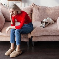 犬との生活に潜む『4つのトラブル』飼い主の不注意が原因で愛犬を危険にさらすことも…