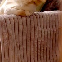 ソファにいる犬を隠し撮りした結果→なぜか『姿勢』が…まさかの『人間味が強すぎる光景』に反響「絶対に前世は人ｗ」「休日のお父さんで草」