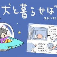 犬と暮らせば【第538話】「エマの回復」