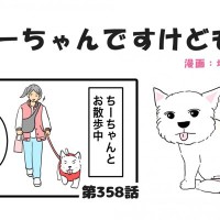 ちーちゃんですけどもっ【第358話】「やっぱり凄い」