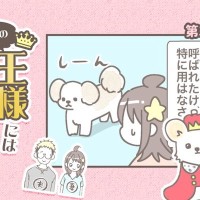 うちの王様にはどうしても抗えない【第354話】「呼ばれたのに②」