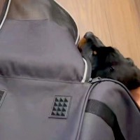 息子の12歳の誕生日に、内緒で『子犬を飼った』結果→見た瞬間に感情が溢れ出して…感動的な光景に反響「泣いて…なんて幸せ」「成長が楽しみ」