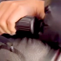 バッグの中で頭を押し付ける犬→網目から『表情』を見てみると…「顔面ストッキングで草」「破壊力ヤバいｗｗ」普段とは違いすぎる光景に爆笑続々