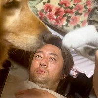 パパの上でじゃれあう『子猫と大型犬』→ガン見していたら、ワンコが…予想外だった展開が41万再生「おもろすぎｗｗ」「みんな可愛い」と爆笑