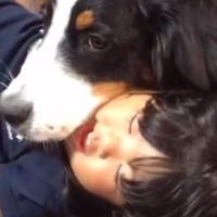 幼少期から犬たちと一緒に育った女の子→『どんな子になるかな』と思ったら…素敵すぎる『成長記録』が27万再生「優しい子」「感動した、最高」