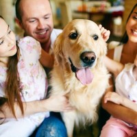 犬は『家族に順位付けをする』というのは間違い？愛犬からの信頼を得るために飼い主にできることまで