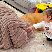 片付けをしない1歳の女の子→『片付けおばけ』が現れ、大型犬を吸い込んでしまい…愛おしい『反応』が14万再生「最高の家族」「影響すごいｗ」