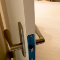 深夜1時『リビングに大型犬がいないな』と思って探したら、玄関で…まさかの『酔っ払いのような光景』に反響「冷たいのかな」「可愛いｗ」