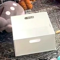 部屋を荒らしまくった犬→『反省してるかな』と見てみると…憎めない『まさかの光景』が24万再生「一仕事終えた感あって草」「子供と同じｗ」