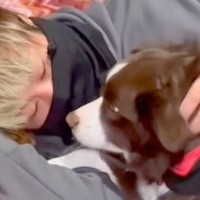 犬が『飼い主を好きになりすぎた』結果→距離を取ろうとすると…まるでカップルのような『尊い光景』が262万再生「前世は恋人」「愛が伝わる」