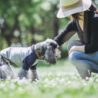 愛犬の『寿命を延ばす』ためにできること4選 　病気の予防法や健康管理のコツまで