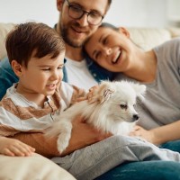 犬を飼い始めたばかりの人がやりがちな『タブー行為』4つ　初日に必ずやるべき準備とは？