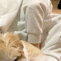 大はしゃぎしていた夫と犬→『急に静かになったな』と思い、覗いてみた結果…完全に燃え尽きた『表情』に反響「あしたのジョーで草」「可愛いｗ」